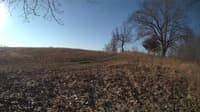 The field cam, Feb 27, 2024 at 6:46am