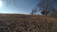 The field cam, Feb 27, 2024 at 6:52am