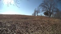 The field cam, Feb 27, 2024 at 8:06am