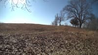 The field cam, Feb 27, 2024 at 8:23am