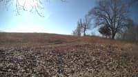 The field cam, Feb 27, 2024 at 8:29am