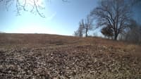 The field cam, Feb 27, 2024 at 8:40am