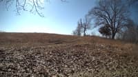 The field cam, Feb 27, 2024 at 8:50am