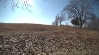 The field cam, Feb 27, 2024 at 8:55am