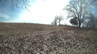 The field cam, Feb 27, 2024 at 10:45am