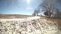 The field cam, Feb 28, 2024 at 10:08am