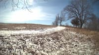The field cam, Feb 29, 2024 at 8:55am