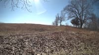 The field cam, Mar 1, 2024 at 9:21am