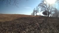 The field cam, Mar 1, 2024 at 12:28pm