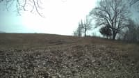The field cam, Mar 2, 2024 at 9:47am