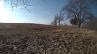 The field cam, Mar 3, 2024 at 6:46am
