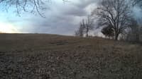 The field cam, Mar 3, 2024 at 3:21pm