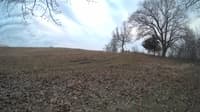The field cam, Mar 3, 2024 at 3:45pm