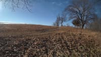 The field cam, Mar 5, 2024 at 6:30am