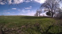 The field cam, May 1, 2024 at 2:28pm