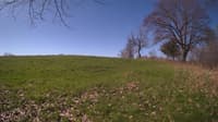 The field cam, May 3, 2024 at 7:31am