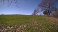 The field cam, May 3, 2024 at 8:13am