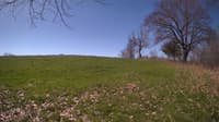 The field cam, May 3, 2024 at 8:15am