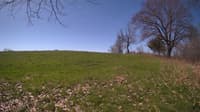 The field cam, May 3, 2024 at 8:19am