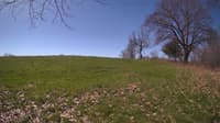 The field cam, May 3, 2024 at 8:22am