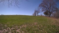 The field cam, May 3, 2024 at 8:23am