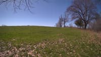 The field cam, May 3, 2024 at 8:48am
