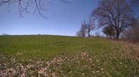 The field cam, May 3, 2024 at 8:52am