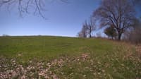 The field cam, May 3, 2024 at 8:54am