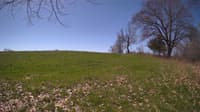 The field cam, May 3, 2024 at 9:12am
