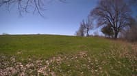 The field cam, May 3, 2024 at 9:16am