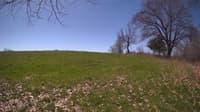 The field cam, May 3, 2024 at 9:17am