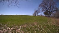 The field cam, May 3, 2024 at 9:21am