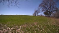 The field cam, May 3, 2024 at 9:23am