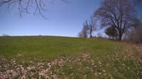 The field cam, May 3, 2024 at 9:28am
