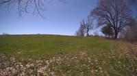 The field cam, May 3, 2024 at 9:42am