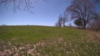 The field cam, May 3, 2024 at 9:44am