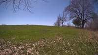 The field cam, May 3, 2024 at 9:47am