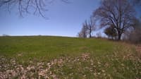 The field cam, May 3, 2024 at 9:49am