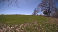 The field cam, May 3, 2024 at 10:05am