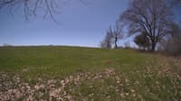 The field cam, May 3, 2024 at 10:10am