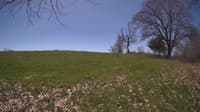 The field cam, May 3, 2024 at 10:14am
