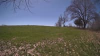 The field cam, May 3, 2024 at 10:15am