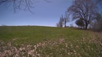 The field cam, May 3, 2024 at 10:38am