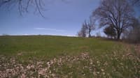 The field cam, May 3, 2024 at 10:41am