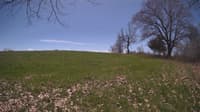 The field cam, May 3, 2024 at 10:43am