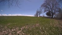 The field cam, May 3, 2024 at 11:22am