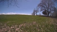 The field cam, May 3, 2024 at 11:27am