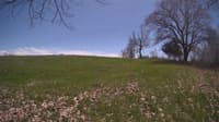 The field cam, May 3, 2024 at 11:30am