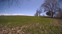 The field cam, May 3, 2024 at 11:46am
