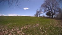 The field cam, May 3, 2024 at 11:50am